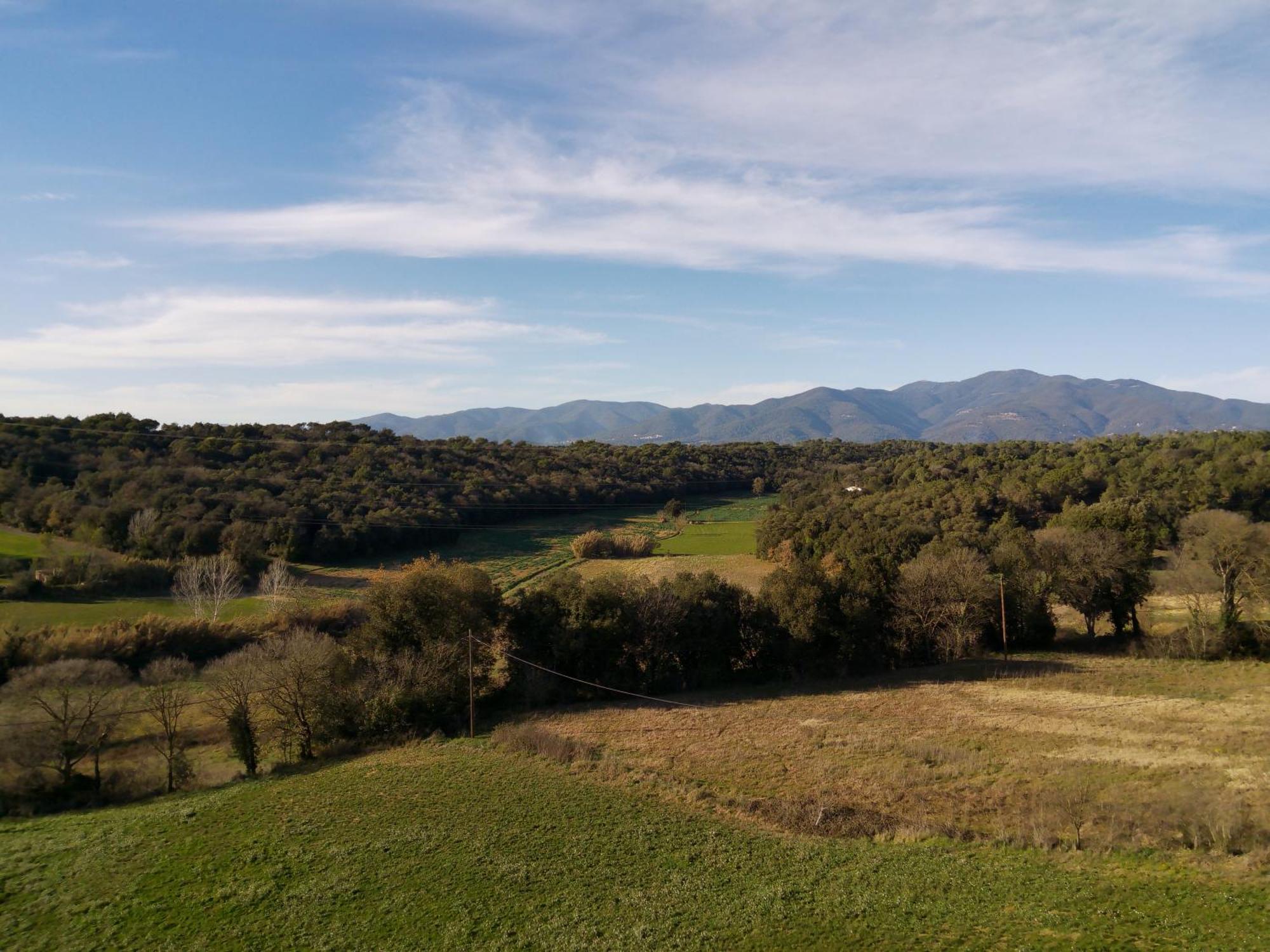 Masia Can Felip B&B Llinars del Valles Dış mekan fotoğraf