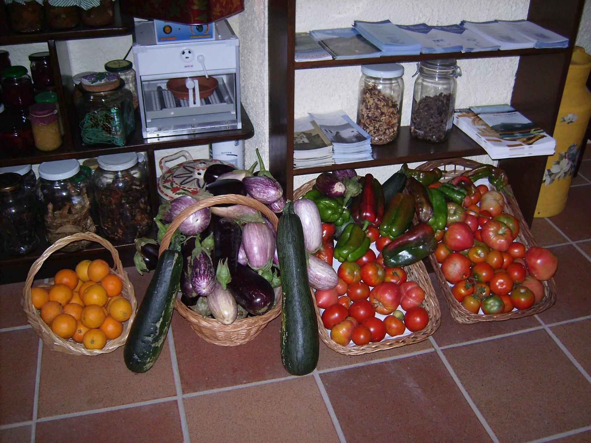 Masia Can Felip B&B Llinars del Valles Dış mekan fotoğraf
