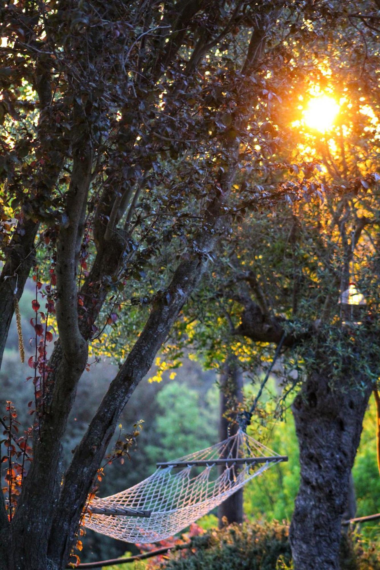 Masia Can Felip B&B Llinars del Valles Dış mekan fotoğraf
