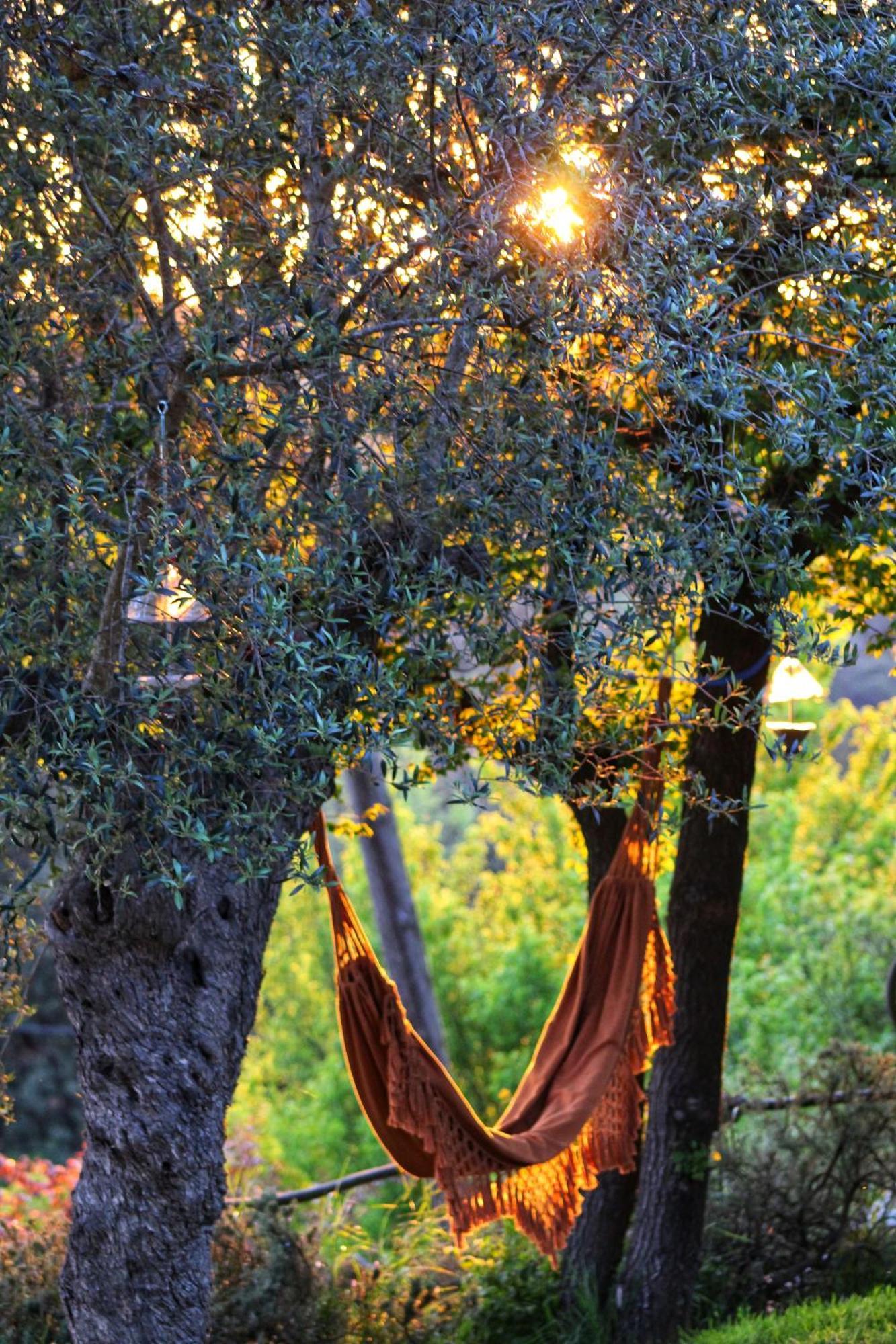 Masia Can Felip B&B Llinars del Valles Dış mekan fotoğraf