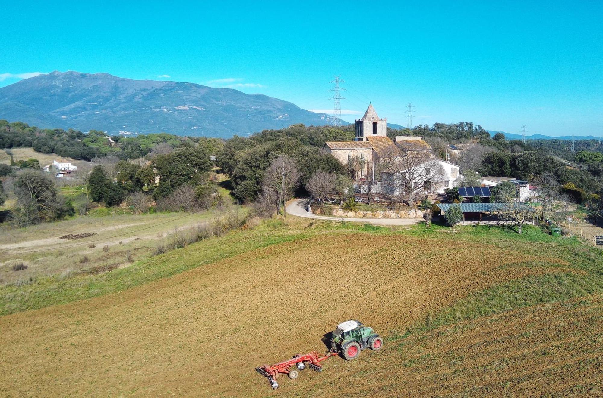 Masia Can Felip B&B Llinars del Valles Dış mekan fotoğraf